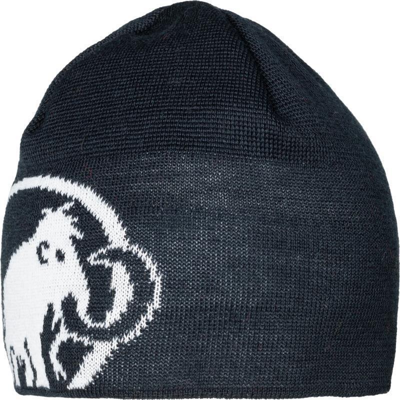 Tweak Beanie - Marine / White 1