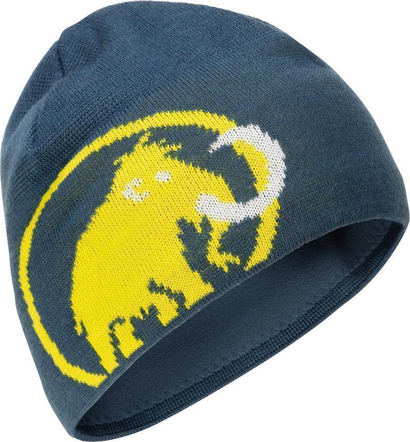 Tweak Beanie - Wing Teal / Blazing 1