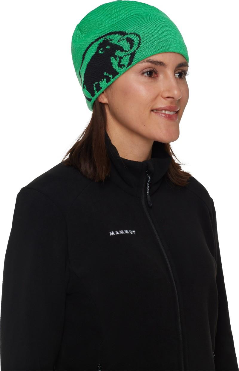 Tweak Beanie - pinea / black 1