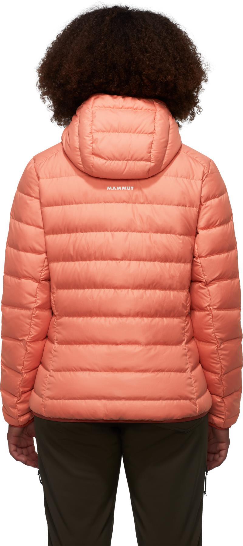 Waymarker IN Hooded Jacket - Womens - Quartz Dust 2