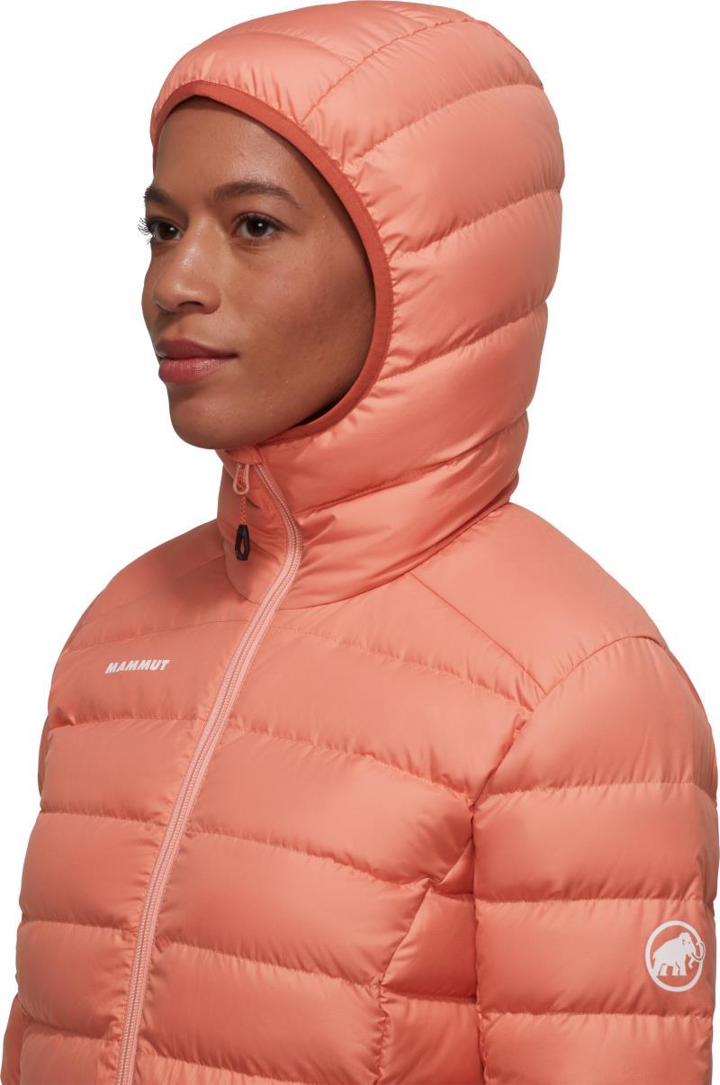 Waymarker IN Hooded Jacket - Womens - Quartz Dust 4