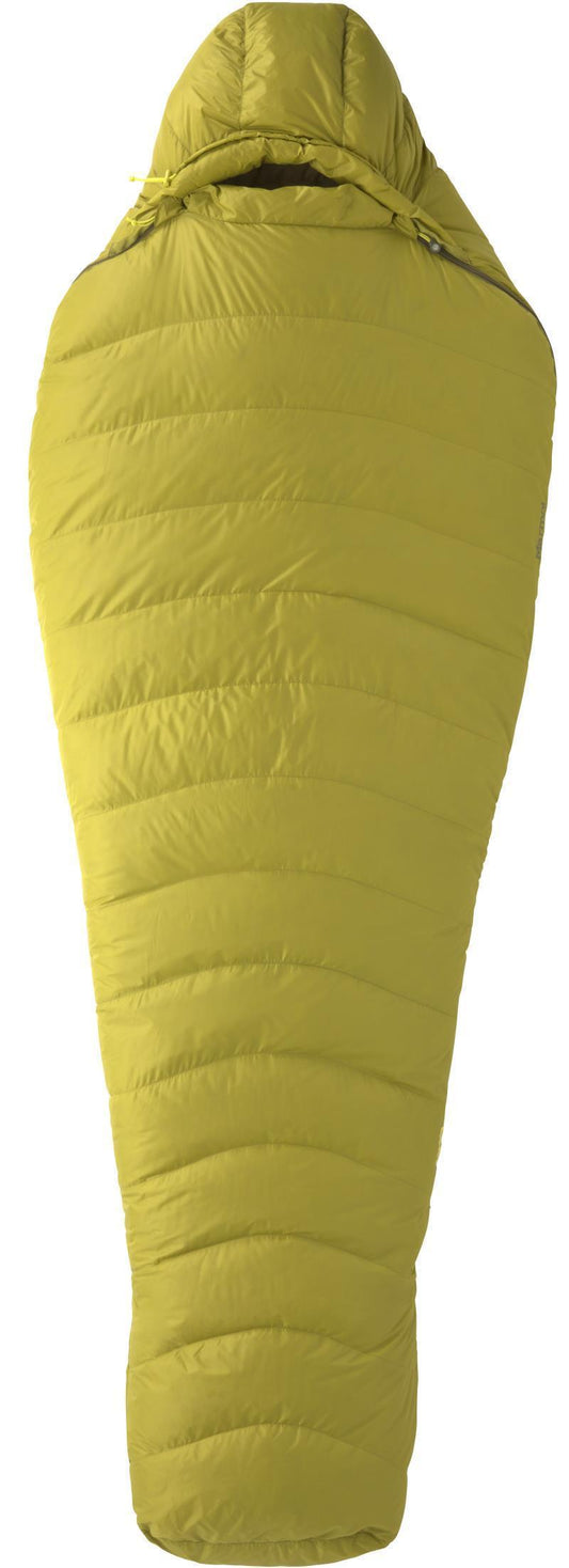 Hydrogen, Reg, -1C / 30F - Dark Citron / Olive 1