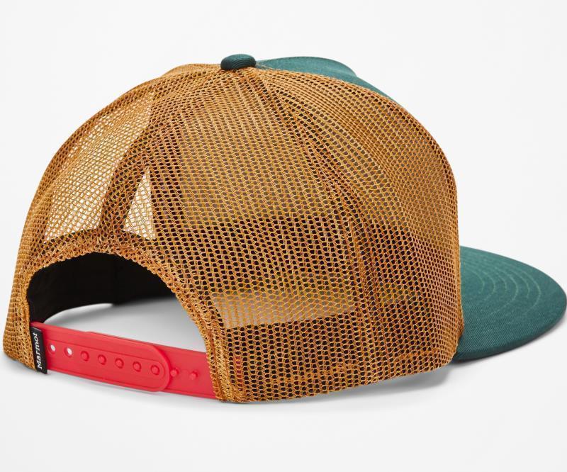 Marmot Trucker - Botanical Garden / Scotch 2