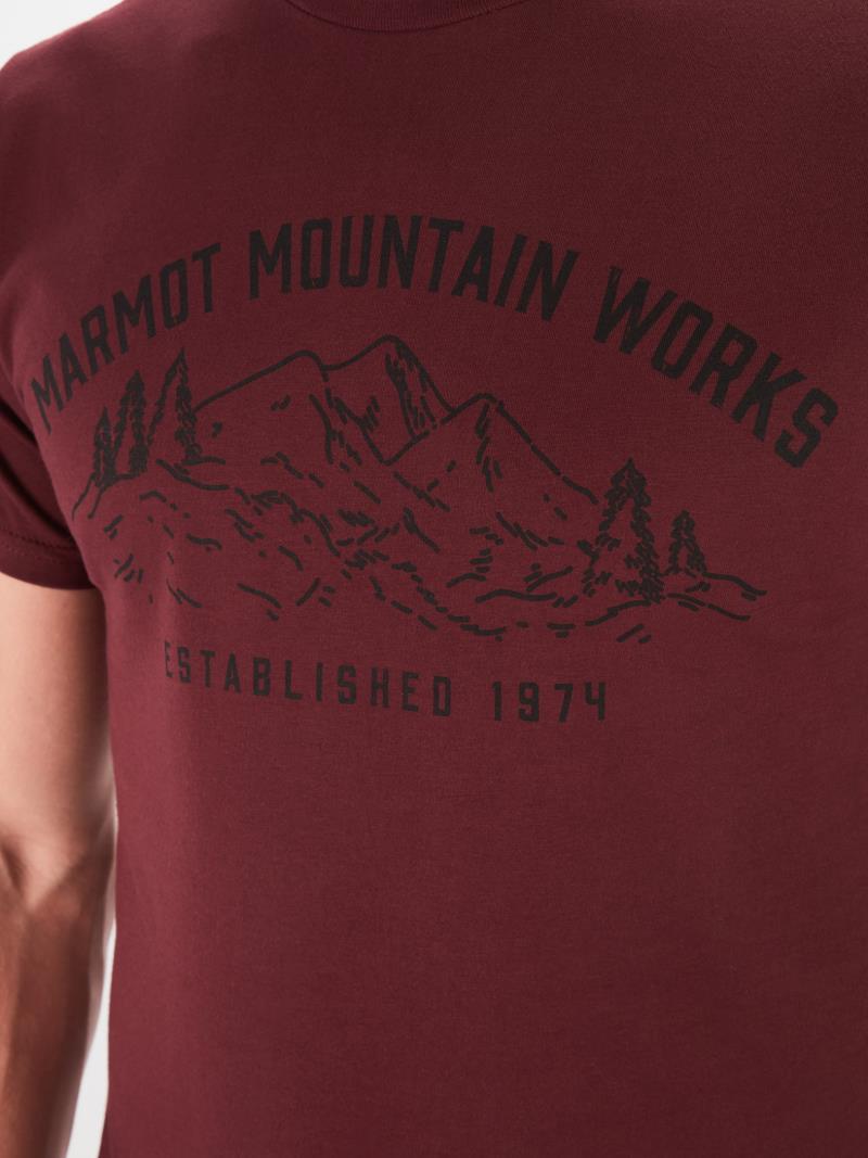 Mountain Works Tee SS - Mens - Port Royal 3