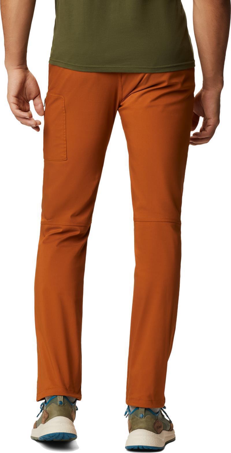 AP-5 Pants, 32" Inseam - Mens - Rust Earth 2