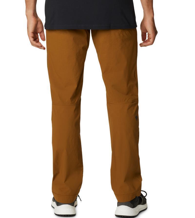 Basin Trek Pants, Reg - Mens - Golden Brown 2
