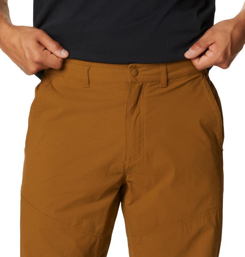 Basin Trek Pants, Reg - Mens - Golden Brown 4