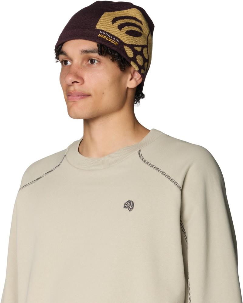 Caelum Dome - deep mulberry 1