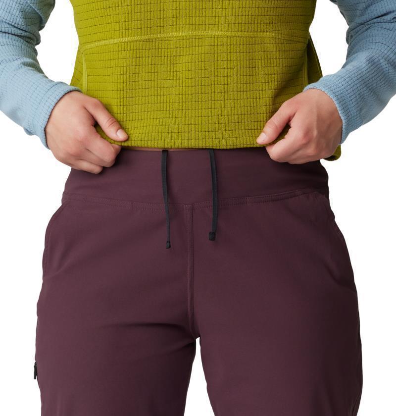 Dynama Ankle Pants - Womens - Blackberry 6