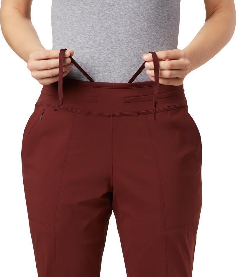 Dynama Lined Pants, Reg - Womens - Dark Umber 3