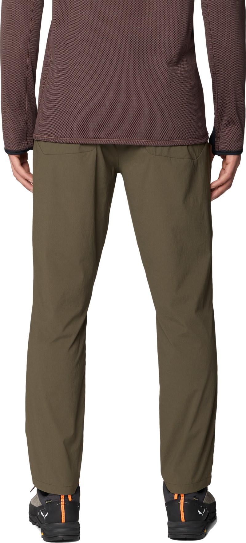 Dynama Pants, 30" Inseam - Mens - ridgeline 1