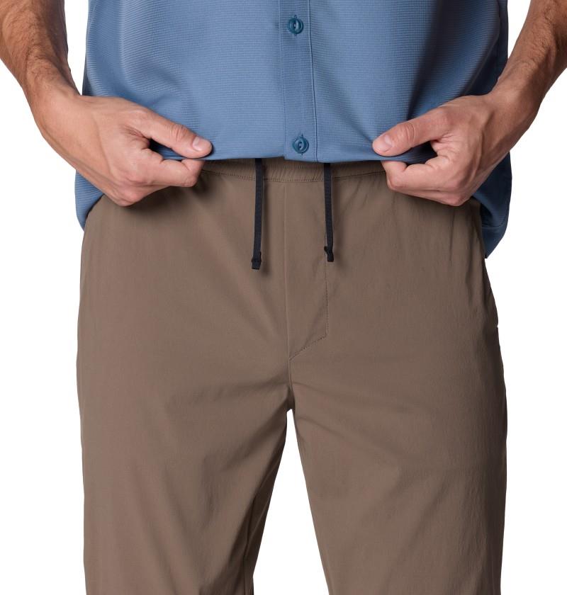 Dynama Pants, 30" Inseam - Mens - tierra 1
