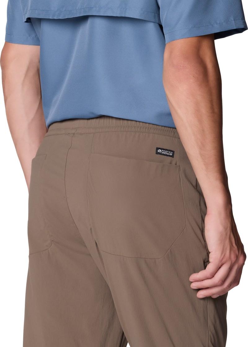 Dynama Pants, 30" Inseam - Mens - tierra 1