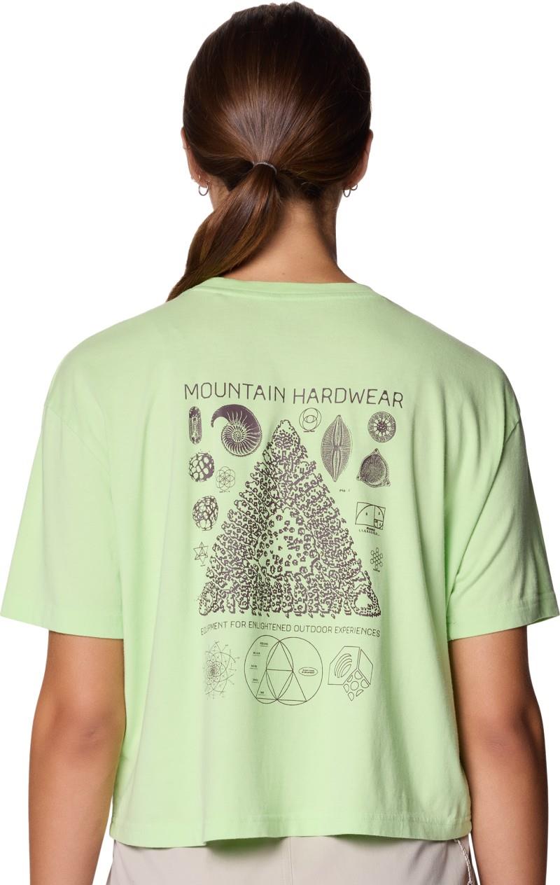 Fossils Boxy Crop - Womens - frozen in lime 1