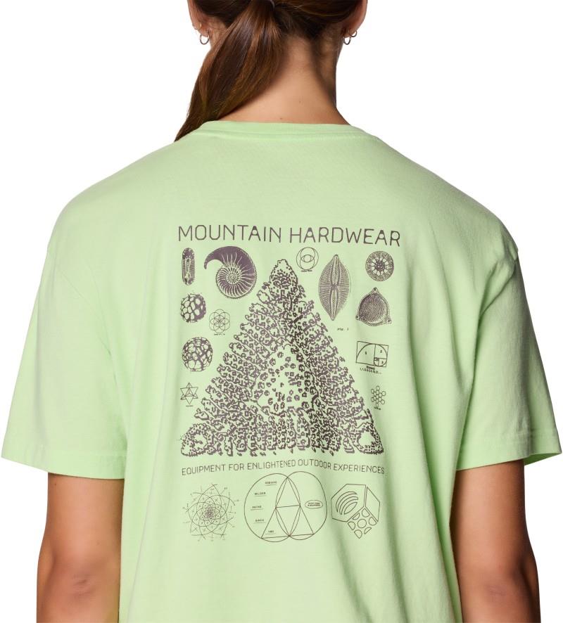 Fossils Boxy Crop - Womens - frozen in lime 1