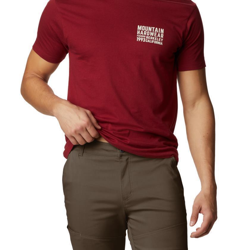 Hardwear AP Pants, 30" Inseam - Mens - dark shale 1