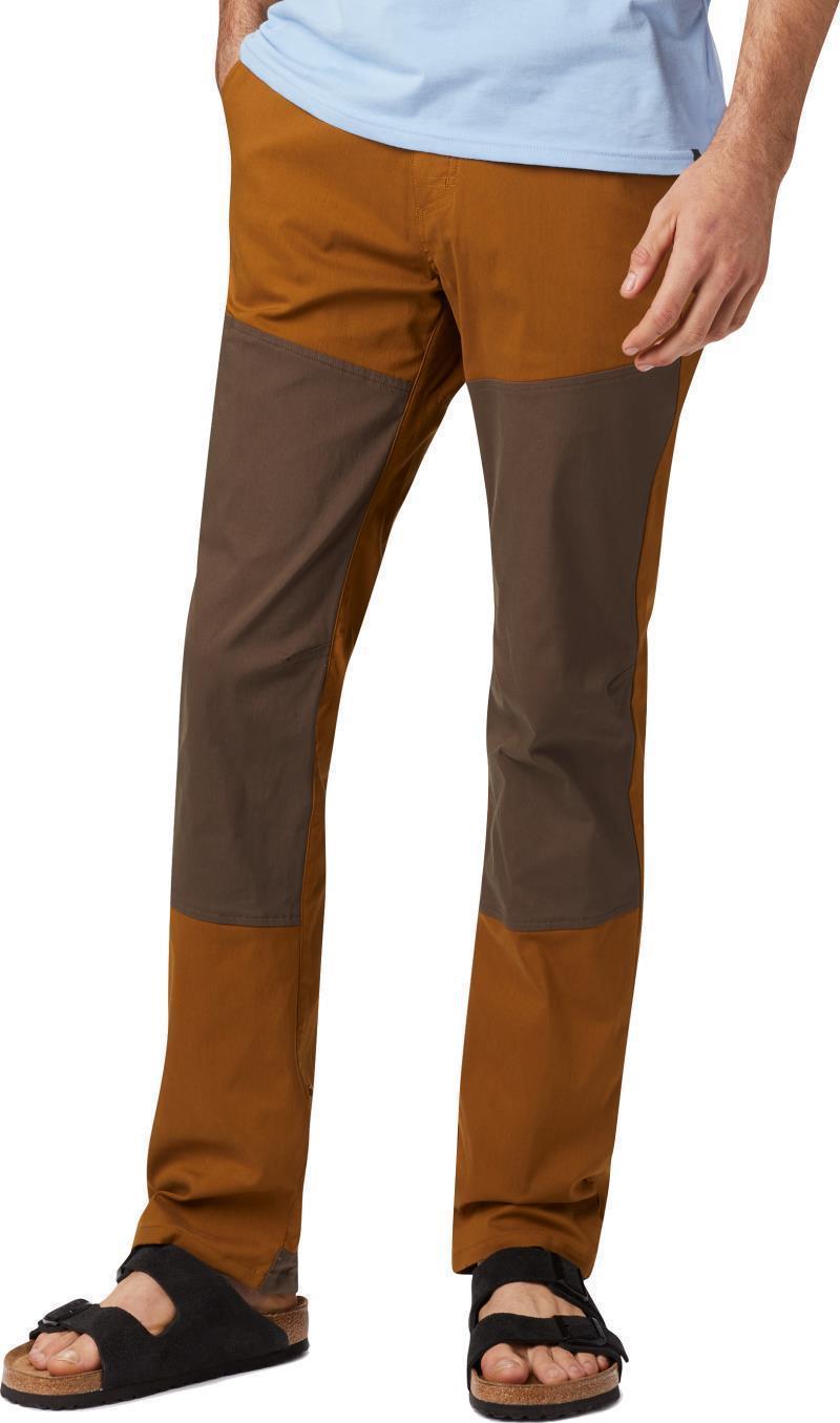 Hardwear AP Pants, 30" Inseam - Mens - golden brown / tundra 1