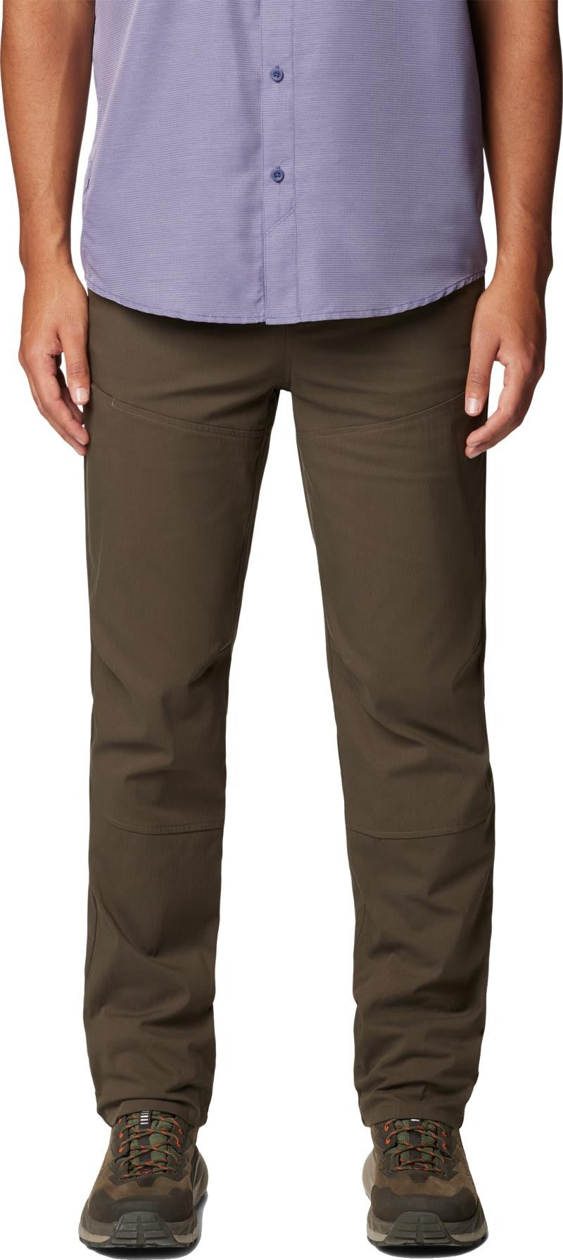 Hardwear AP Pants, 30" Inseam - Mens - ridgeline 1