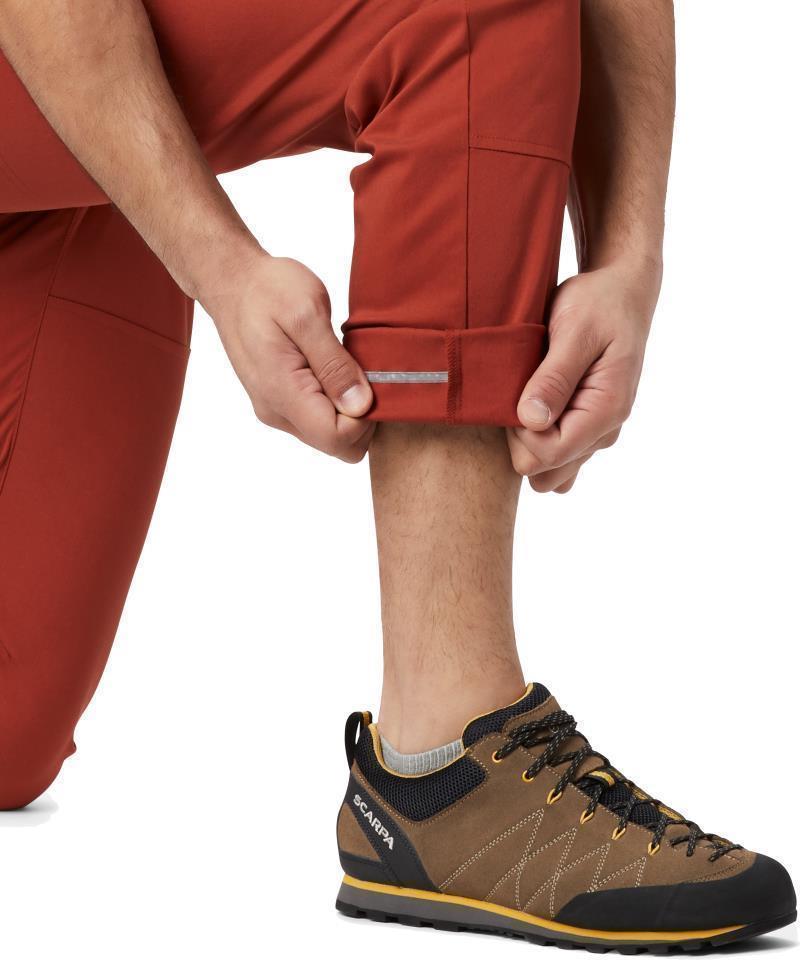 Hardwear AP Pants, 30" Inseam - Mens - rusted 1
