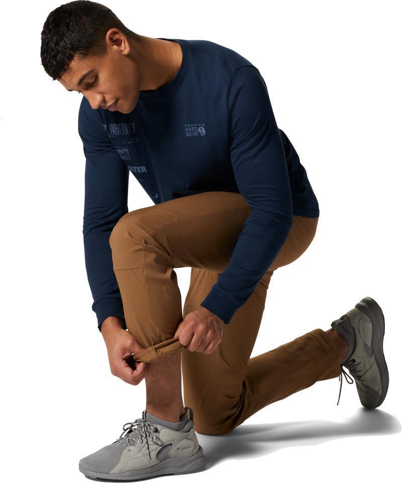 Hardwear AP Pants, 32" Inseam - Mens - corozo nut 1
