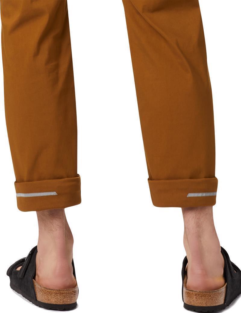 Hardwear AP Pants, 34" Inseam - Mens - golden brown / tundra 1