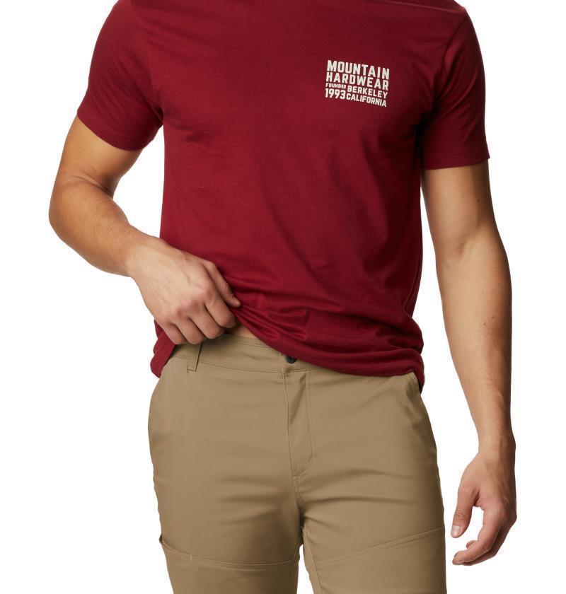 Hardwear AP Pants, 34" Inseam - Mens - sandstorm 1
