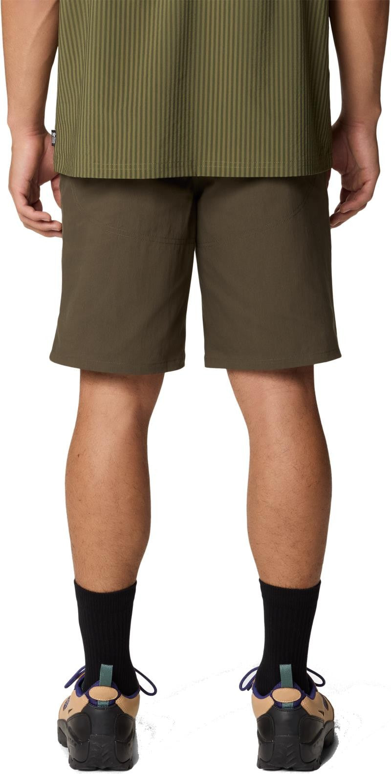 Hardwear AP Shorts, 9" Inseam - Mens - ridgeline 1