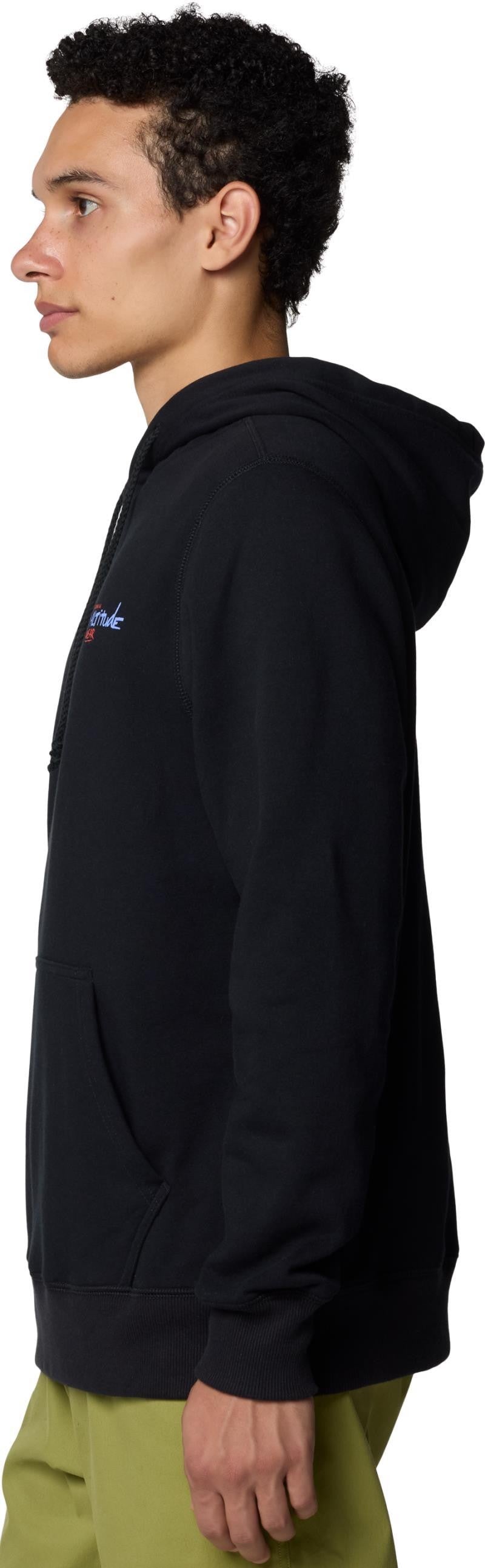 Hardwear Tri-Color Logo Hoody - Mens - black 1