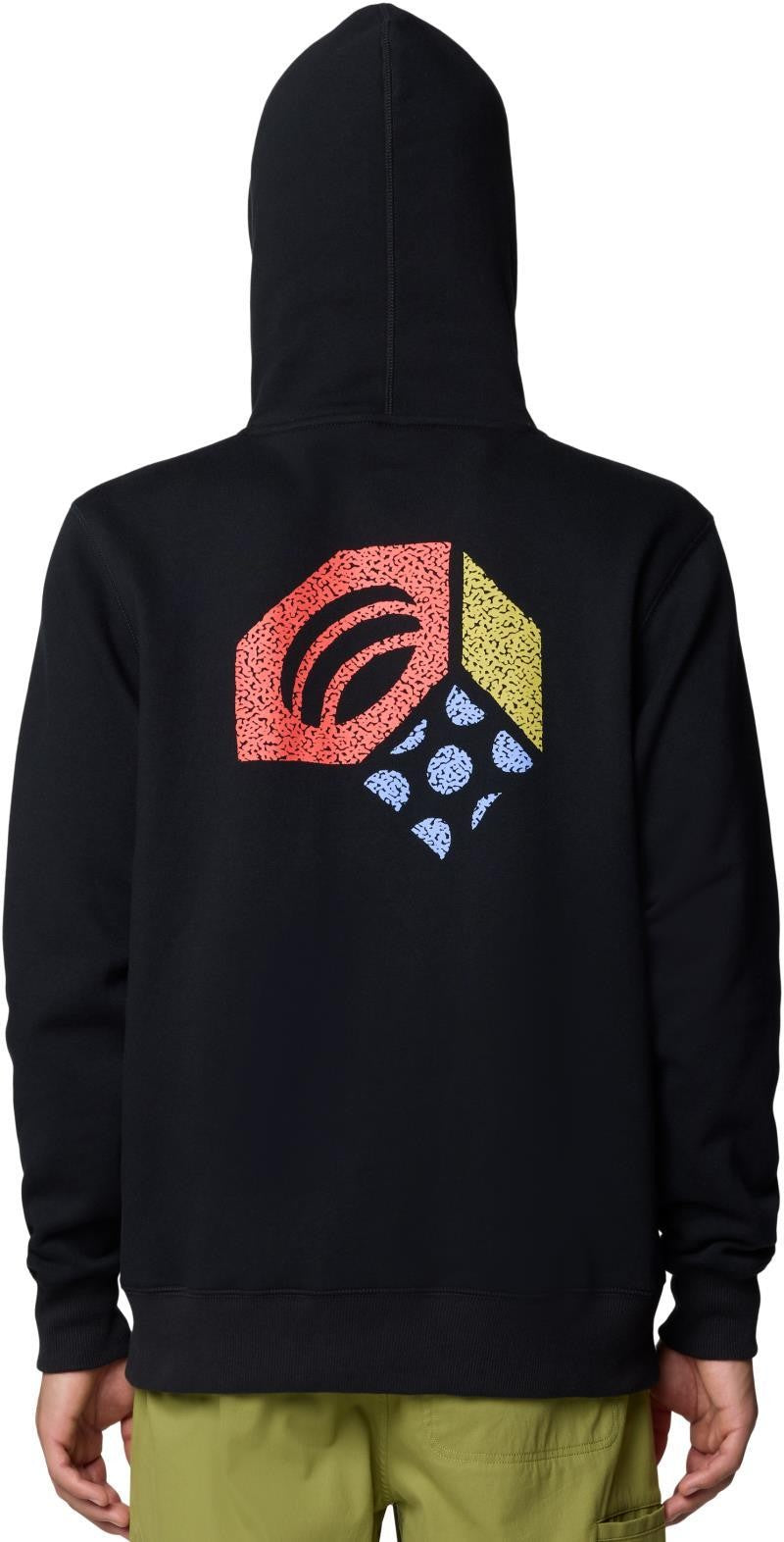Hardwear Tri-Color Logo Hoody - Mens - black 1