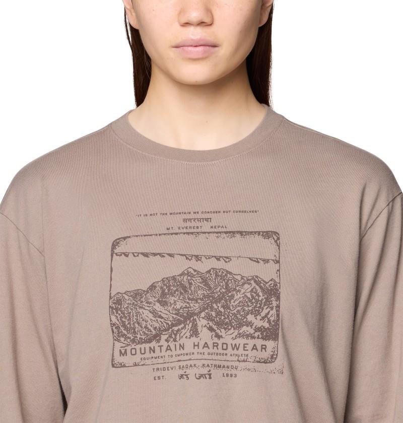 In the Mountains Boxy Crop LS - Womens - wild taupe 1