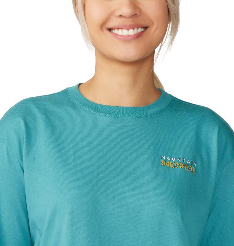 Logo Landscape Boxy LS - Womens - Palisades 5