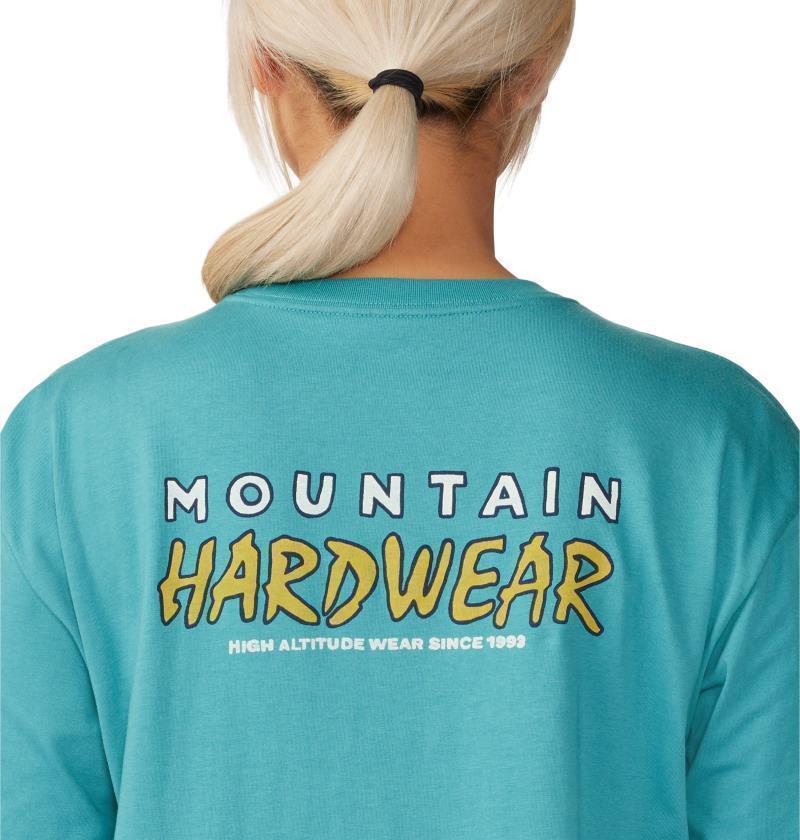 Logo Landscape Boxy LS - Womens - Palisades 6