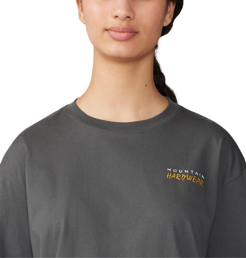 Logo Landscape Boxy LS - Womens - Volcanic 4