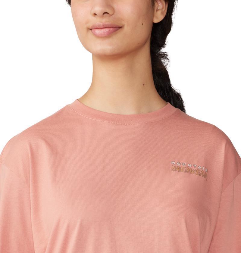 Logo Landscape Boxy LS - Womens - Washed Sun 4