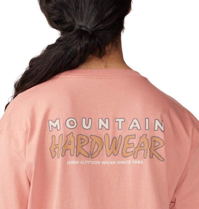 Logo Landscape Boxy LS - Womens - Washed Sun 5