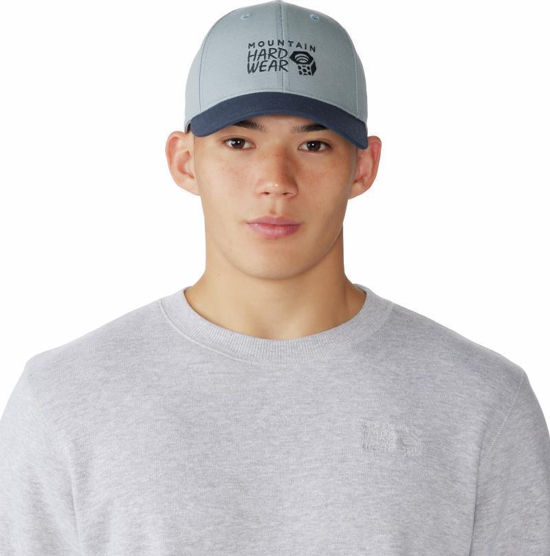 MHW Logo Cap - Light Zinc 2
