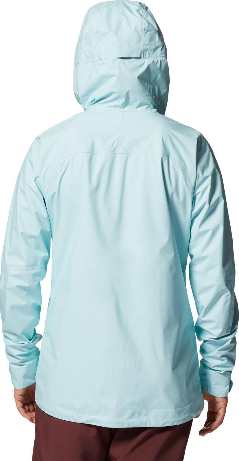 Minimizer GTX Paclite Plus Jacket - Womens - Pale Ice 3