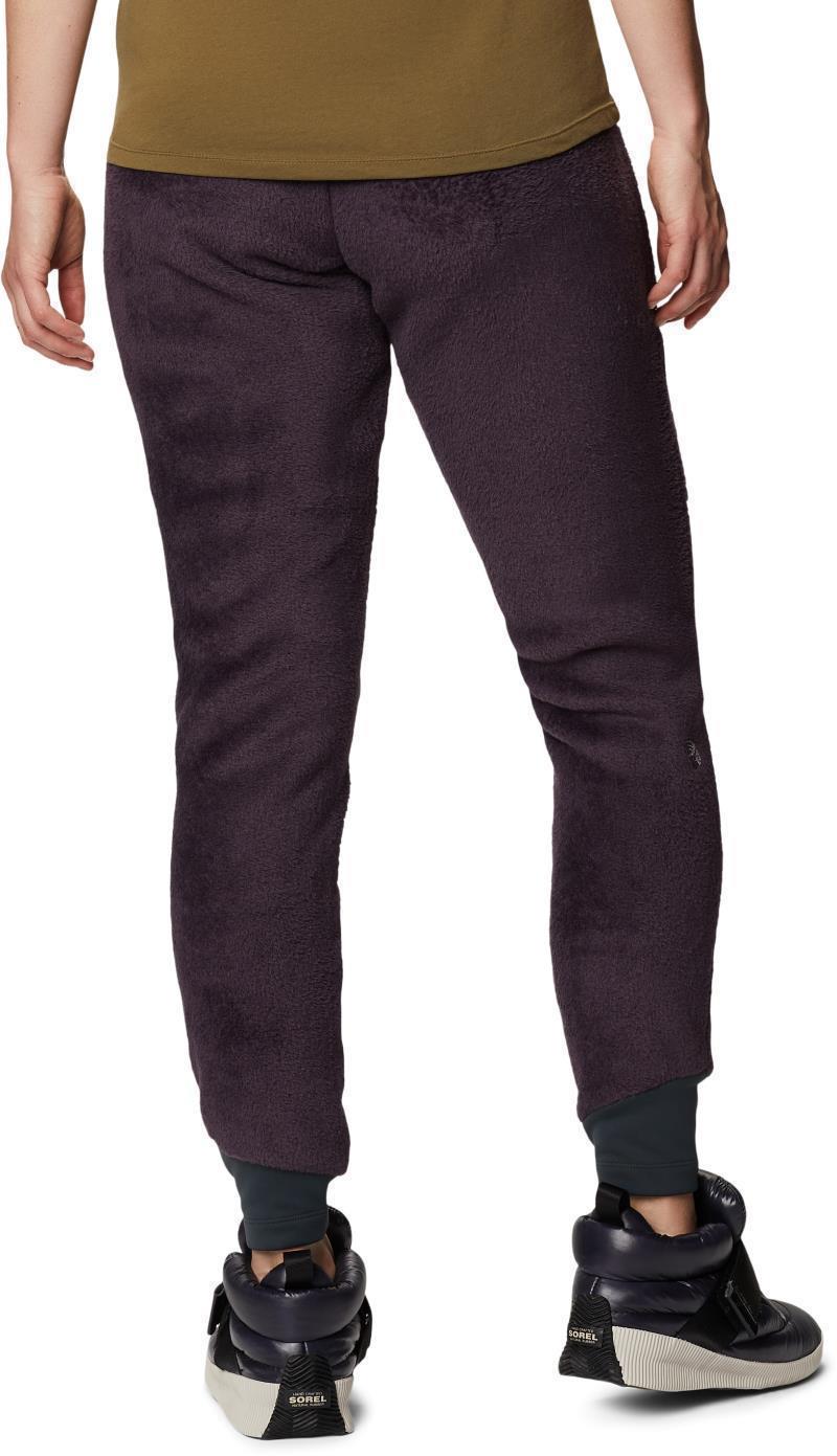 Polartec High Loft Pants, Reg - Womens - Blurple 4