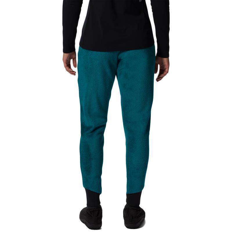 Polartec High Loft Pants, Reg - Womens - botanic 1