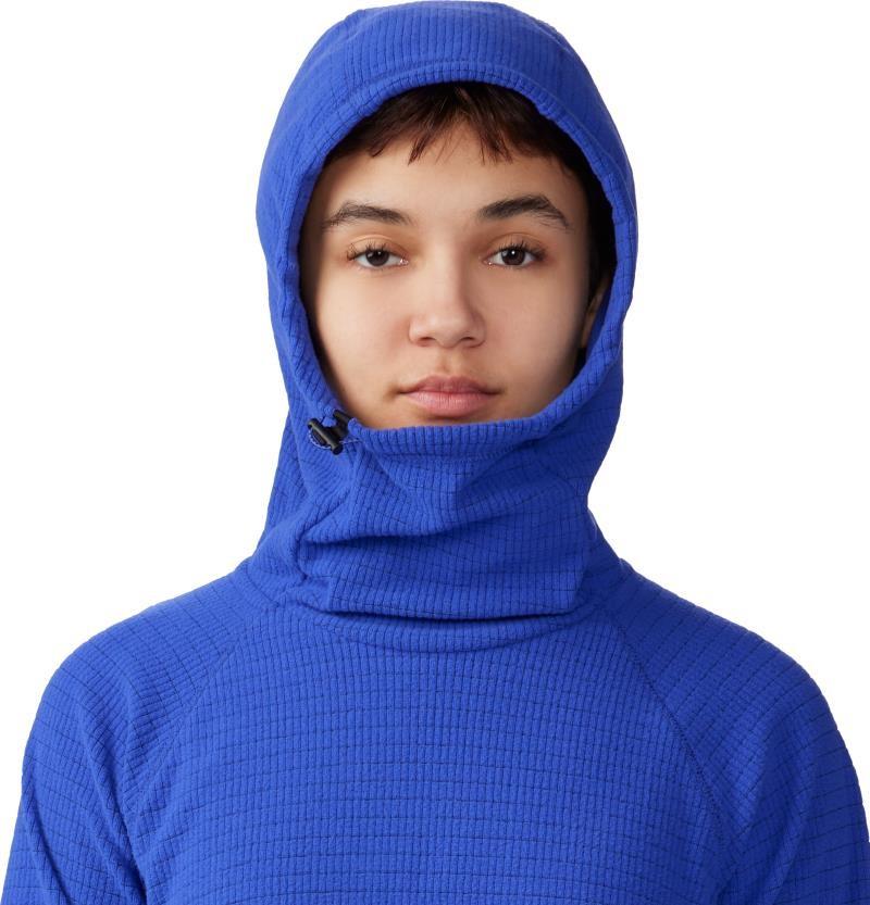 Summit Grid Dress - blurple 1