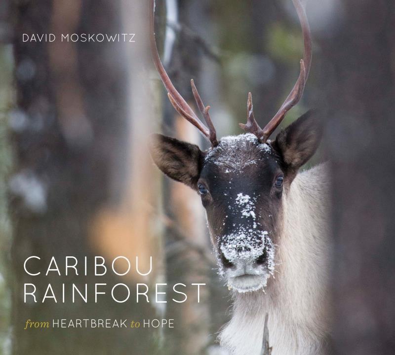 Caribou Rainforest - not applicable 1