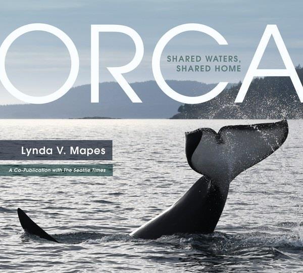 Orca - not applicable 1