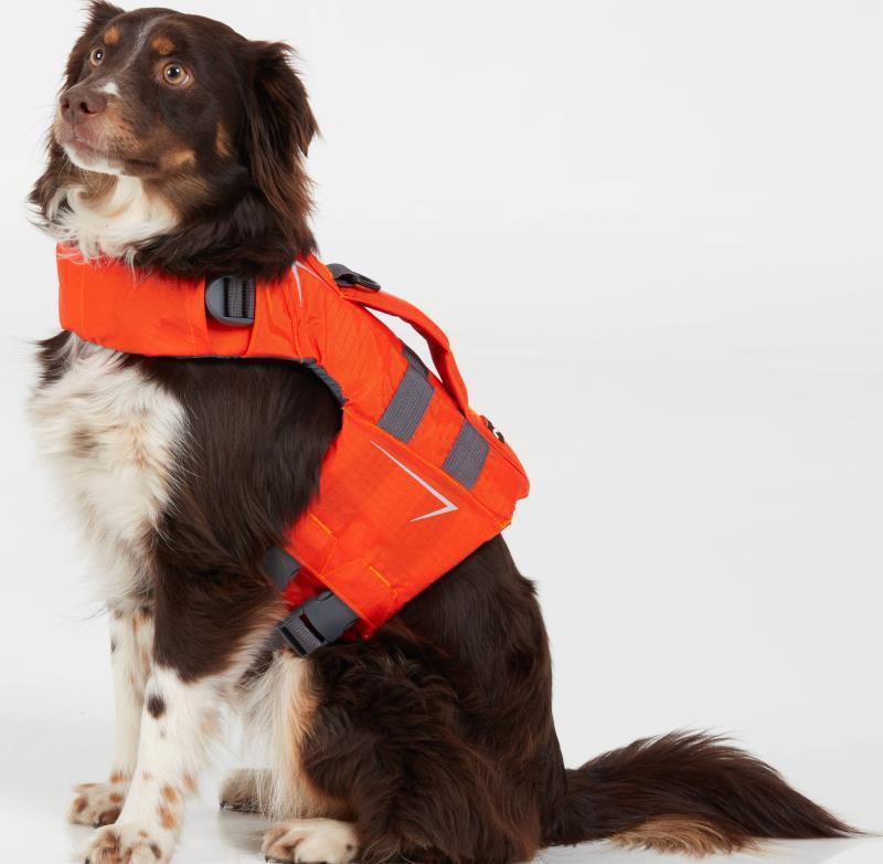CFD Dog Life Jacket - Orange 8