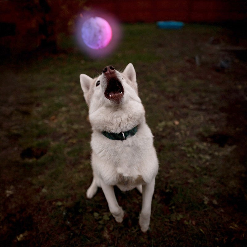 GlowStreak LED Ball - Disc-O - not applicable 1