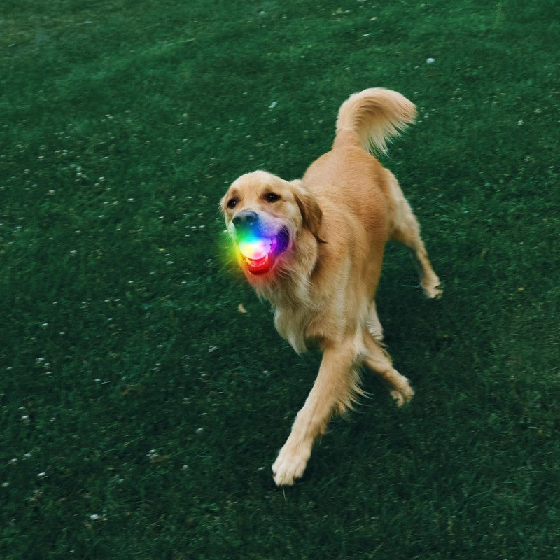 GlowStreak Rechargeable LED Ball - Disc-O - not applicable 1