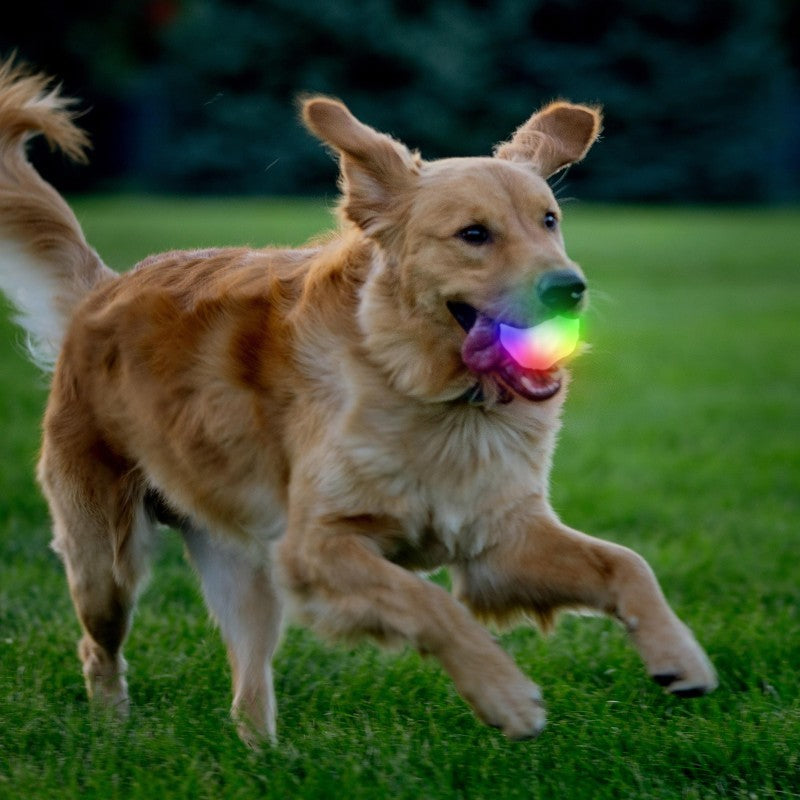 GlowStreak Wild LED Ball - Disc-O - not applicable 1