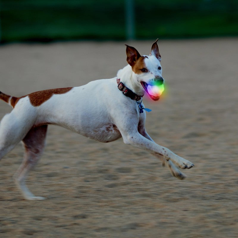 GlowStreak Wild LED Ball - Disc-O - not applicable 1