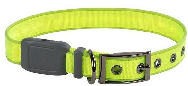 NiteDog Rechargeable LED Collar - Lime / Green 2