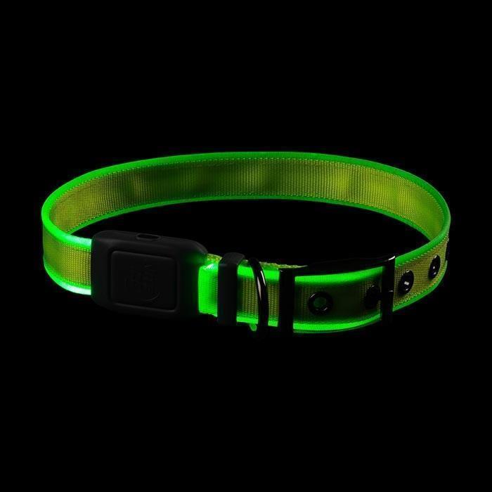 NiteDog Rechargeable LED Collar - Lime / Green 3