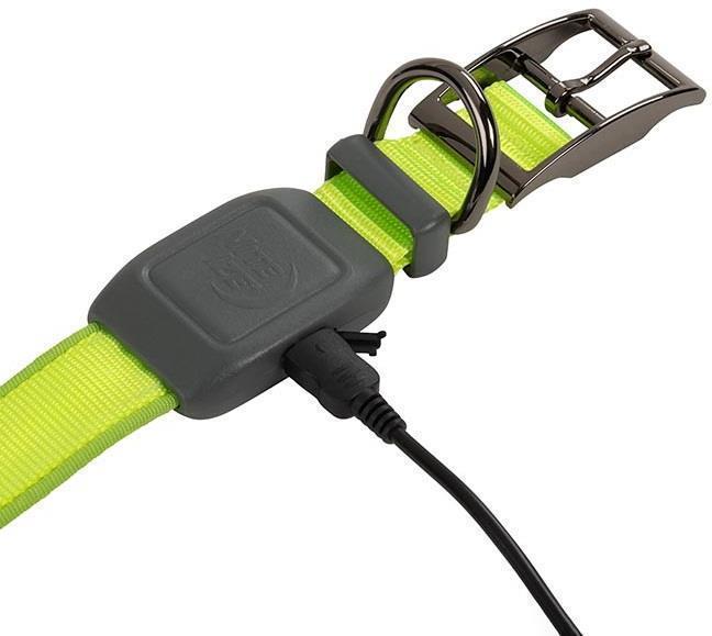 NiteDog Rechargeable LED Collar - Lime / Green 4
